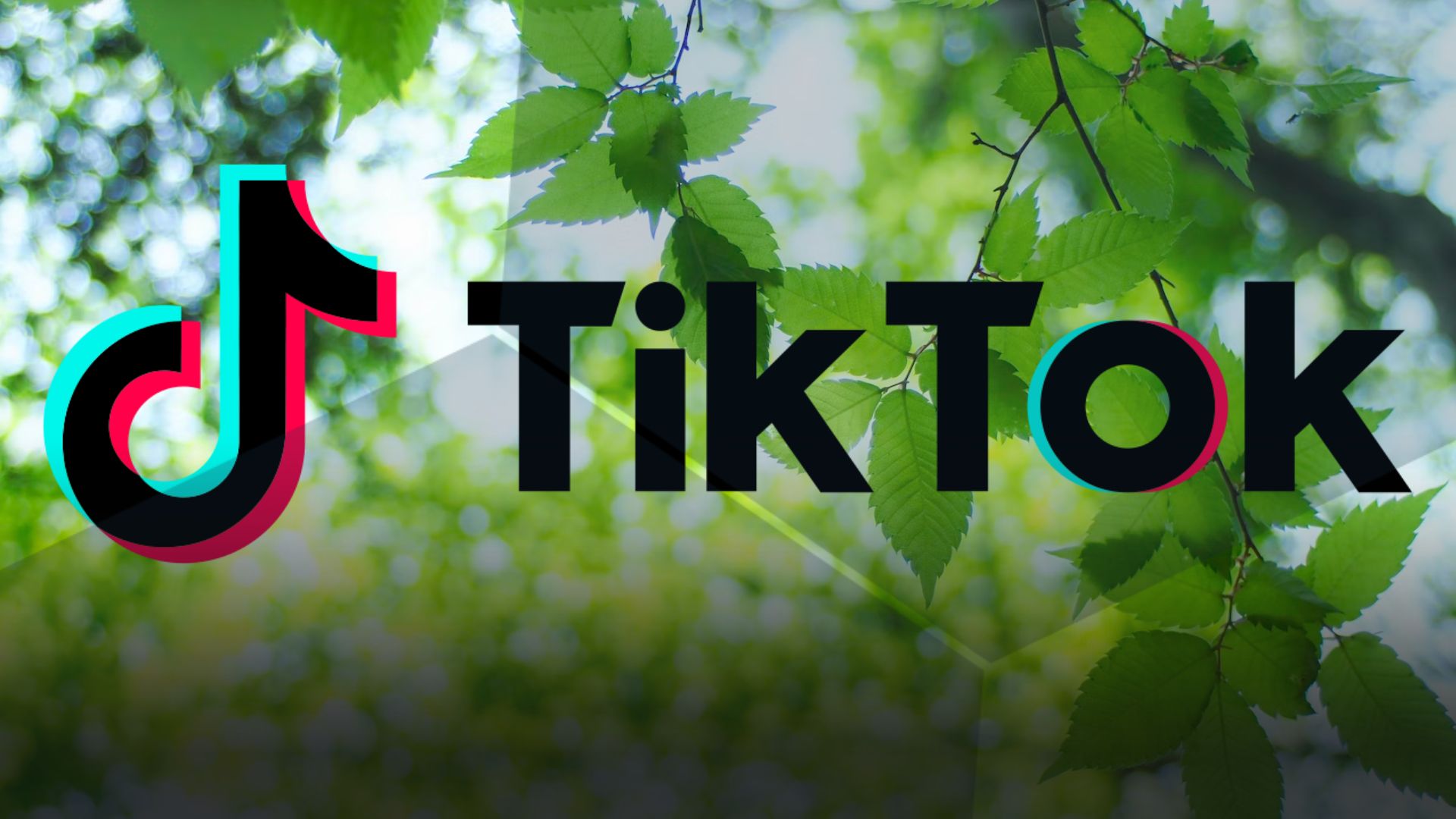 how-tiktok-promotes-esg-to-the-leaders-of-tomorrow-base-creative